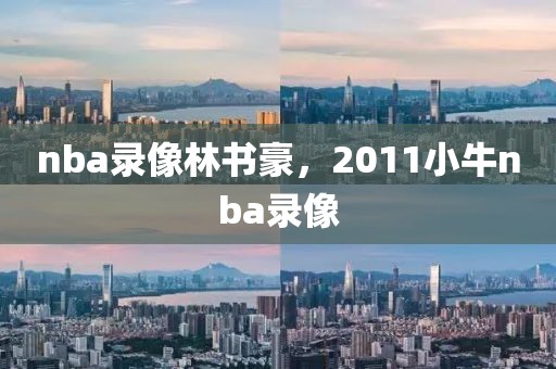 nba录像林书豪，2011小牛nba录像-第1张图片-雷速体育