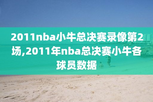 2011nba小牛总决赛录像第2场,2011年nba总决赛小牛各球员数据-第1张图片-雷速体育