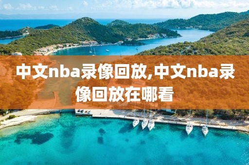 中文nba录像回放,中文nba录像回放在哪看-第1张图片-雷速体育