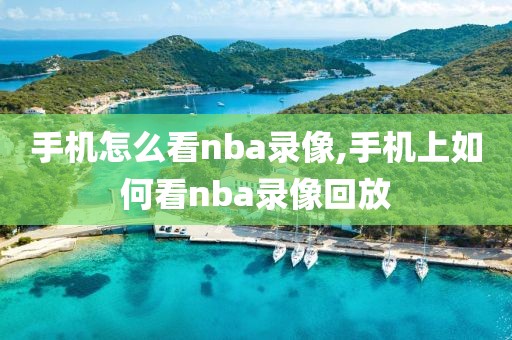 手机怎么看nba录像,手机上如何看nba录像回放-第1张图片-雷速体育