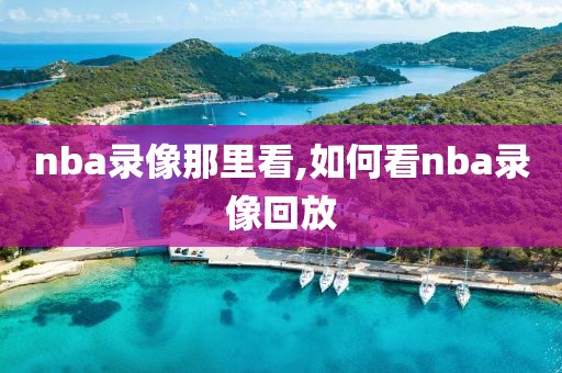 nba录像那里看,如何看nba录像回放-第1张图片-雷速体育