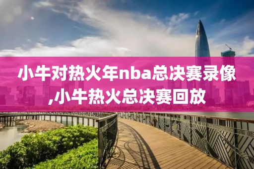 小牛对热火年nba总决赛录像,小牛热火总决赛回放-第1张图片-雷速体育