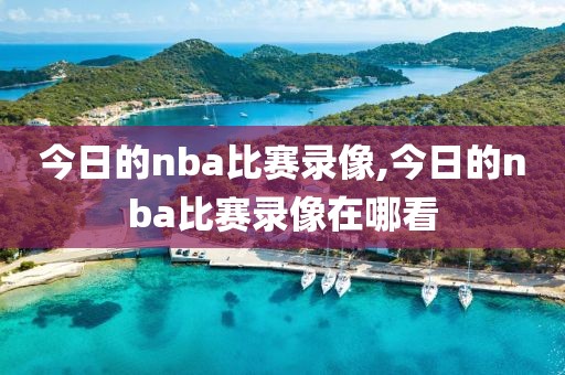 今日的nba比赛录像,今日的nba比赛录像在哪看-第1张图片-雷速体育