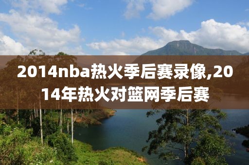 2014nba热火季后赛录像,2014年热火对篮网季后赛-第1张图片-雷速体育