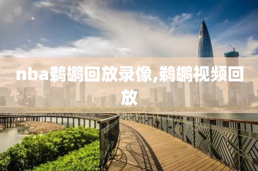 nba鹈鹕回放录像,鹈鹕视频回放-第1张图片-雷速体育