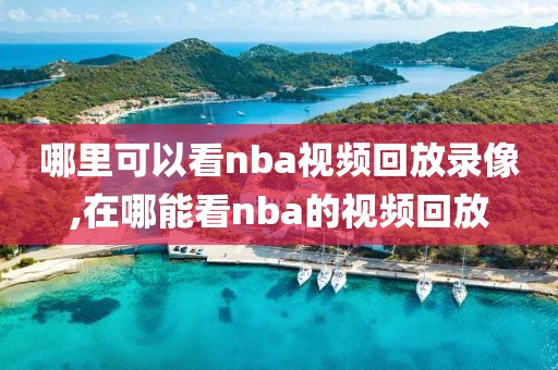 哪里可以看nba视频回放录像,在哪能看nba的视频回放-第1张图片-雷速体育