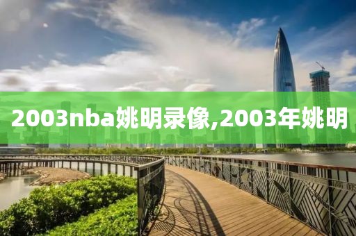 2003nba姚明录像,2003年姚明-第1张图片-雷速体育