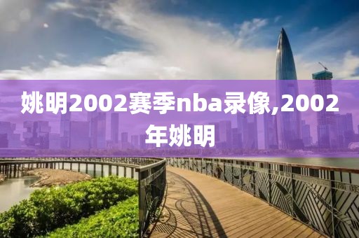 姚明2002赛季nba录像,2002年姚明-第1张图片-雷速体育