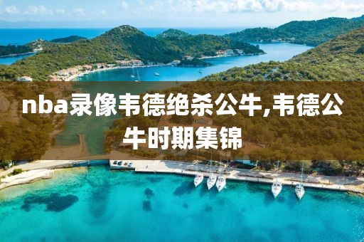 nba录像韦德绝杀公牛,韦德公牛时期集锦-第1张图片-雷速体育