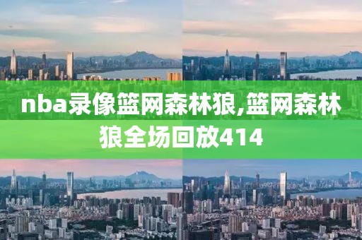 nba录像篮网森林狼,篮网森林狼全场回放414-第1张图片-雷速体育