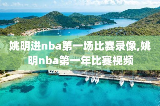 姚明进nba第一场比赛录像,姚明nba第一年比赛视频-第1张图片-雷速体育