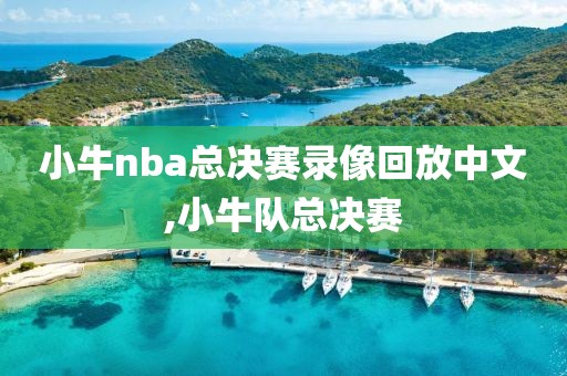 小牛nba总决赛录像回放中文,小牛队总决赛-第1张图片-雷速体育