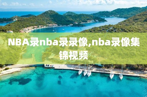 NBA录nba录录像,nba录像集锦视频-第1张图片-雷速体育