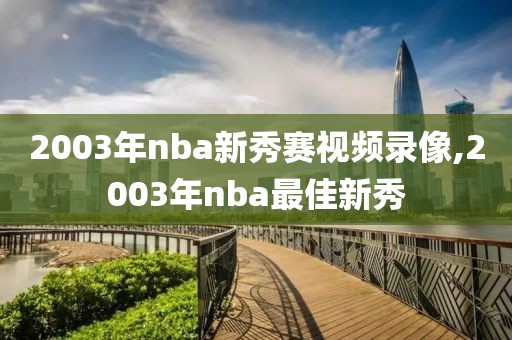 2003年nba新秀赛视频录像,2003年nba最佳新秀-第1张图片-雷速体育