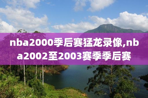 nba2000季后赛猛龙录像,nba2002至2003赛季季后赛-第1张图片-雷速体育