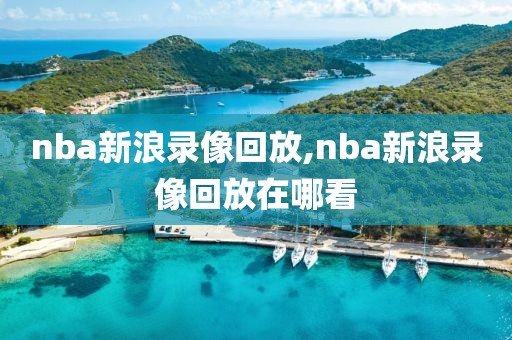 nba新浪录像回放,nba新浪录像回放在哪看-第1张图片-雷速体育