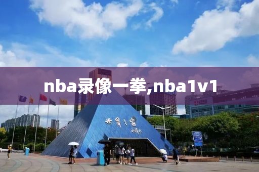 nba录像一拳,nba1v1-第1张图片-雷速体育