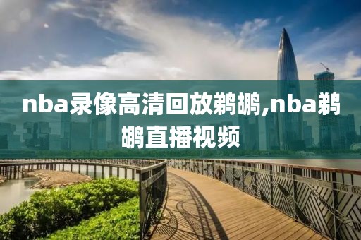 nba录像高清回放鹈鹕,nba鹈鹕直播视频-第1张图片-雷速体育
