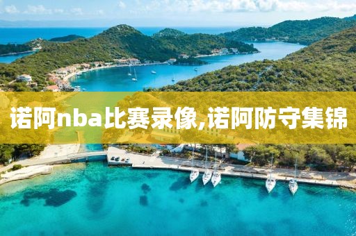 诺阿nba比赛录像,诺阿防守集锦-第1张图片-雷速体育