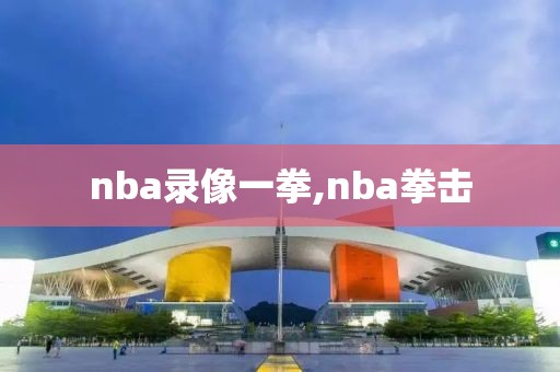 nba录像一拳,nba拳击-第1张图片-雷速体育