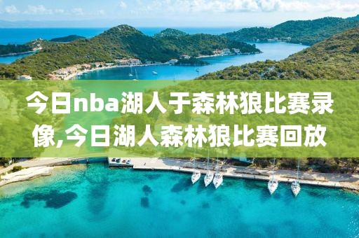 今日nba湖人于森林狼比赛录像,今日湖人森林狼比赛回放-第1张图片-雷速体育