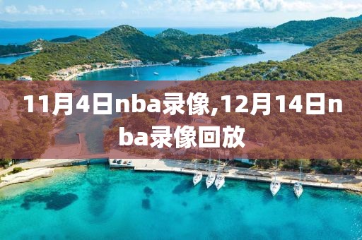 11月4日nba录像,12月14日nba录像回放-第1张图片-雷速体育