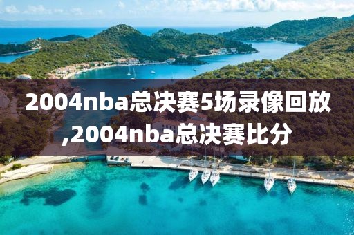 2004nba总决赛5场录像回放,2004nba总决赛比分-第1张图片-雷速体育