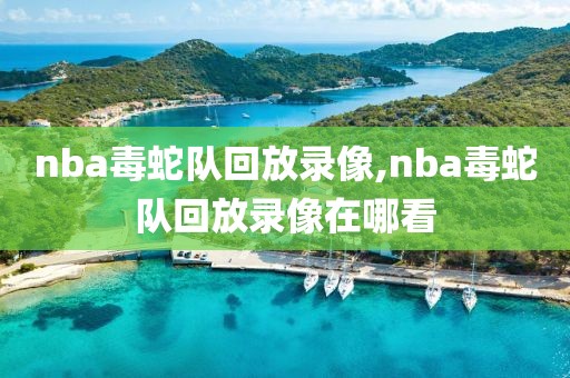 nba毒蛇队回放录像,nba毒蛇队回放录像在哪看-第1张图片-雷速体育