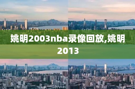 姚明2003nba录像回放,姚明2013-第1张图片-雷速体育