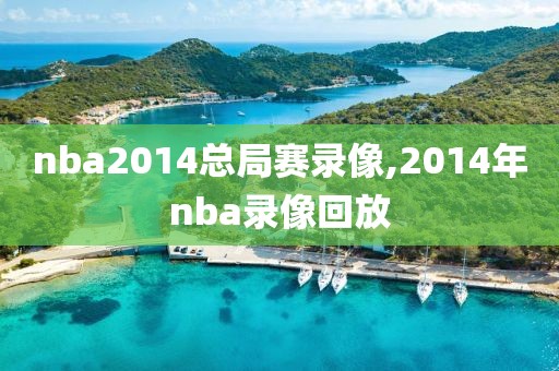 nba2014总局赛录像,2014年nba录像回放-第1张图片-雷速体育