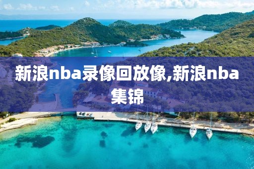 新浪nba录像回放像,新浪nba集锦-第1张图片-雷速体育