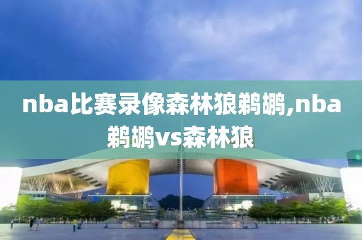 nba比赛录像森林狼鹈鹕,nba鹈鹕vs森林狼-第1张图片-雷速体育