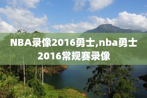 NBA录像2016勇士,nba勇士2016常规赛录像-第1张图片-雷速体育