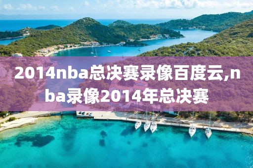 2014nba总决赛录像百度云,nba录像2014年总决赛-第1张图片-雷速体育