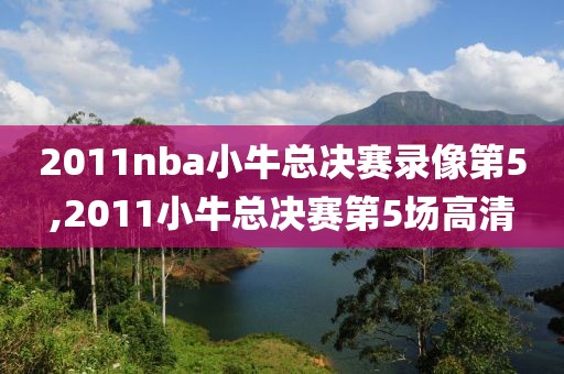 2011nba小牛总决赛录像第5,2011小牛总决赛第5场高清-第1张图片-雷速体育