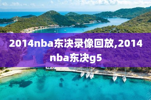 2014nba东决录像回放,2014nba东决g5-第1张图片-雷速体育