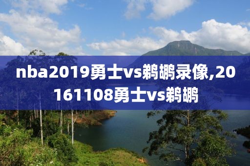 nba2019勇士vs鹈鹕录像,20161108勇士vs鹈鹕-第1张图片-雷速体育