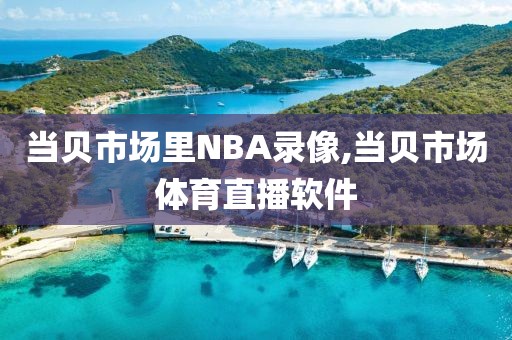 当贝市场里NBA录像,当贝市场体育直播软件-第1张图片-雷速体育