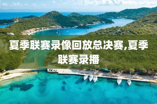 夏季联赛录像回放总决赛,夏季联赛录播-第1张图片-雷速体育