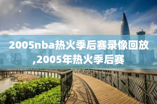 2005nba热火季后赛录像回放,2005年热火季后赛-第1张图片-雷速体育