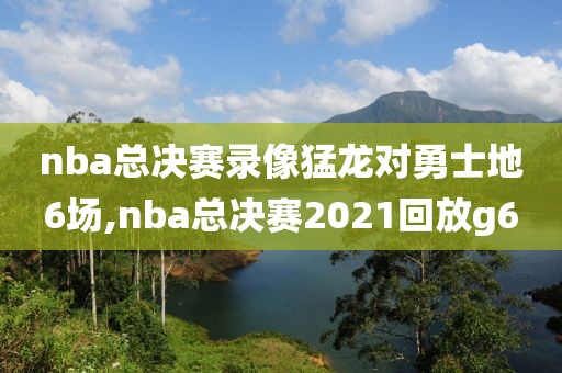 nba总决赛录像猛龙对勇士地6场,nba总决赛2021回放g6-第1张图片-雷速体育