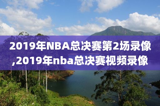 2019年NBA总决赛第2场录像,2019年nba总决赛视频录像-第1张图片-雷速体育