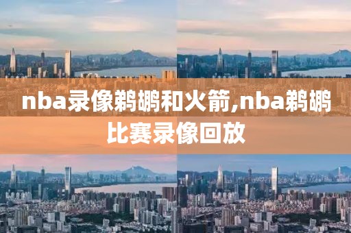 nba录像鹈鹕和火箭,nba鹈鹕比赛录像回放-第1张图片-雷速体育