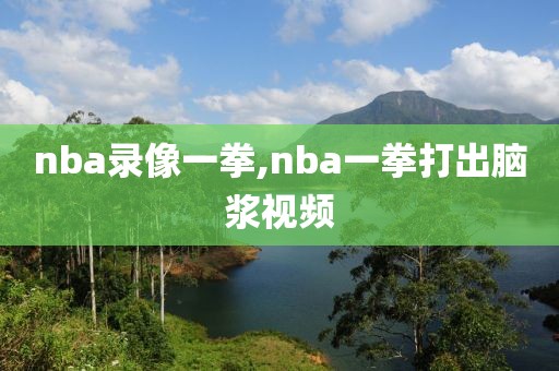 nba录像一拳,nba一拳打出脑浆视频-第1张图片-雷速体育