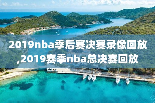 2019nba季后赛决赛录像回放,2019赛季nba总决赛回放-第1张图片-雷速体育