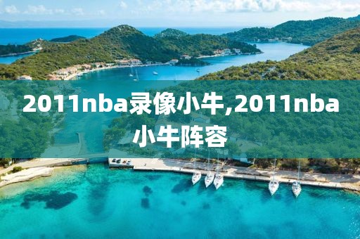 2011nba录像小牛,2011nba小牛阵容-第1张图片-雷速体育