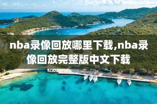 nba录像回放哪里下载,nba录像回放完整版中文下载-第1张图片-雷速体育