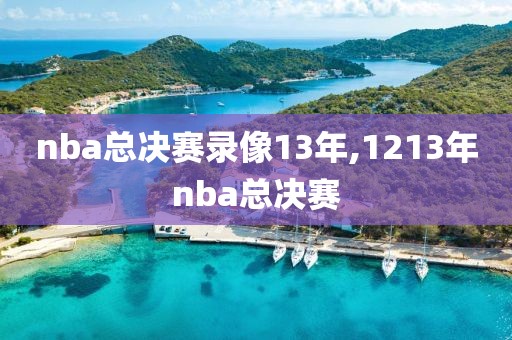 nba总决赛录像13年,1213年nba总决赛-第1张图片-雷速体育