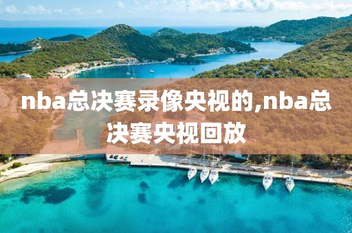 nba总决赛录像央视的,nba总决赛央视回放-第1张图片-雷速体育