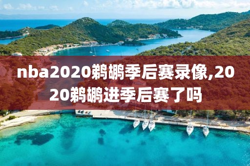 nba2020鹈鹕季后赛录像,2020鹈鹕进季后赛了吗-第1张图片-雷速体育